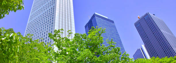 istock Shinjuku landscape (panorama) 924703016