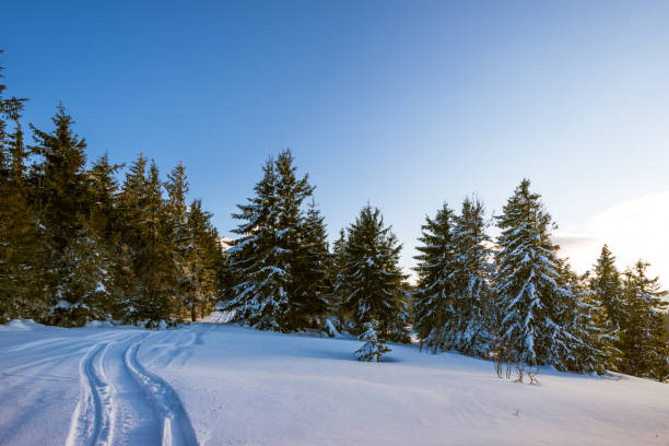 istock Trail in evening winterland. 924703386