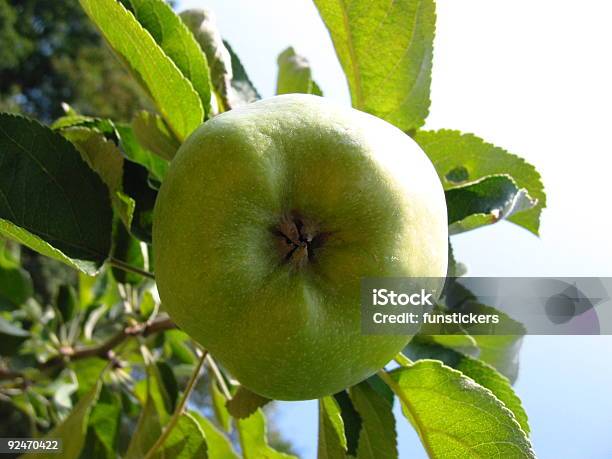 Appleno2 - Fotografie stock e altre immagini di Albero - Albero, Alimentazione sana, Cibo