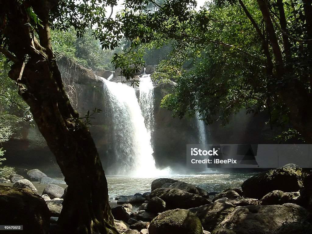 Cascata di Khao Yai - Foto stock royalty-free di Albero