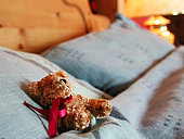 teddy-ist-eingeschlafen.jpg?b=1&s=170x170&k=20&c=OQZkFS8IF4LkuAh1-LpC-CQs9_Us6cFfCm6JzLncduk=