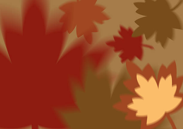 autumnleaves stock photo