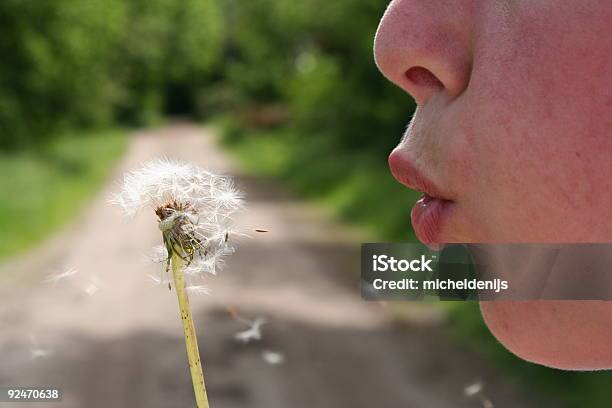 Послать Dandelions — стоковые фотографии и другие картинки Близко к - Близко к, Ботаника, В воздухе