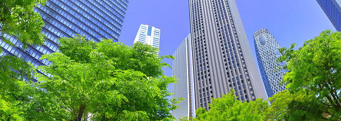 Fresh green in Tokyo, Shinjuku sub-central city landscape (panorama)