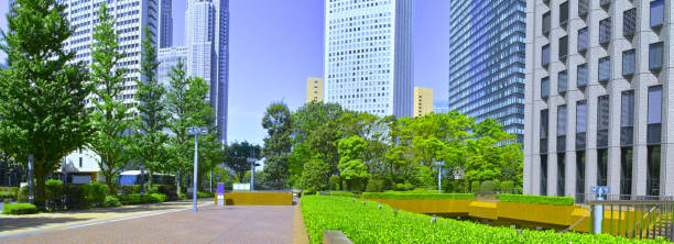istock Shinjuku landscape (panorama) 924706554
