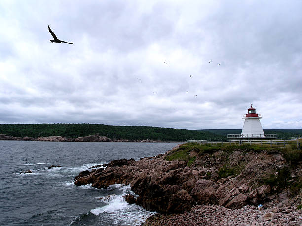 leuchtturm in kanada - atlantic coast flash stock-fotos und bilder