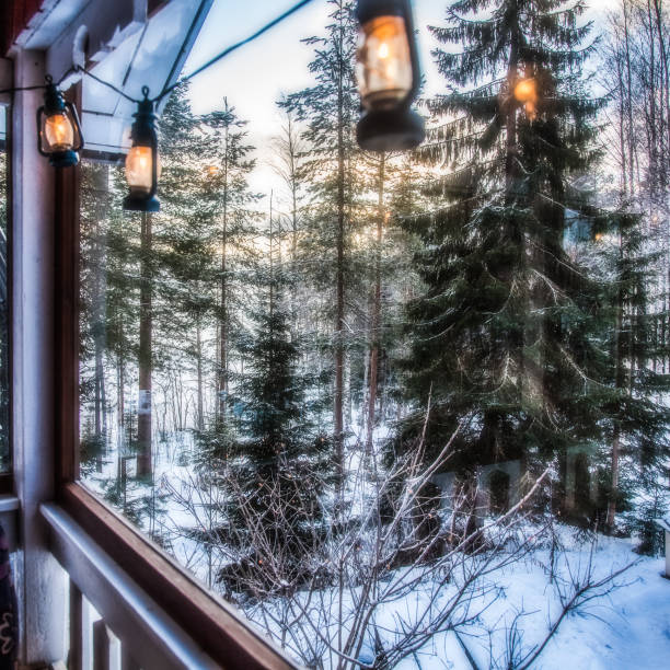 istock View from the veranda to the winter forest, lake 924709028