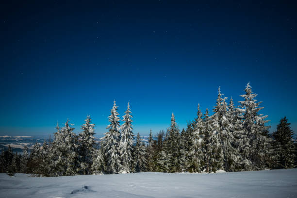 istock Night stars in the snowy mountains 924710066