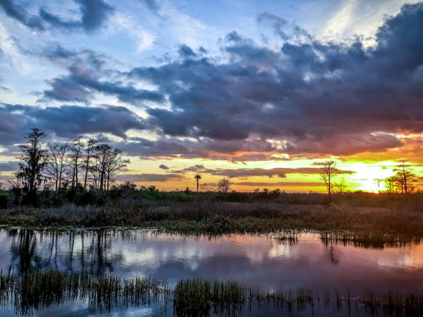 istock sunset in the swamp 924710510