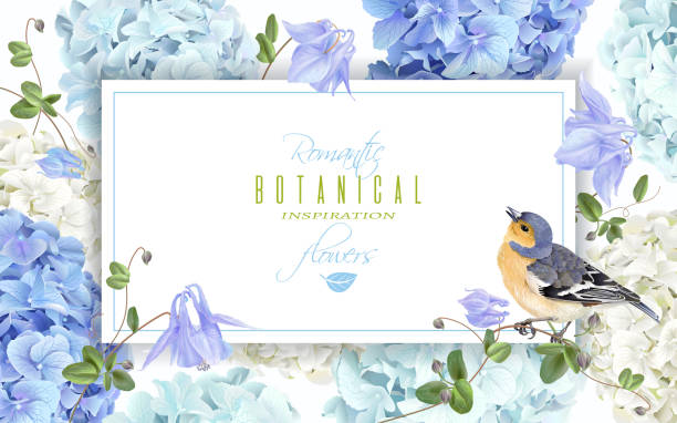 Hydrangea bird banner blue Vector horizontal banner with blue, white hydrangea flowers and bird on white background. Floral design for cosmetics, perfume, beauty care products. Can be used as greeting card, wedding invitation bird borders stock illustrations