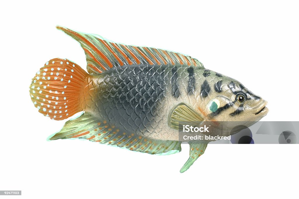 Pesce in plastica - Foto stock royalty-free di Pesce