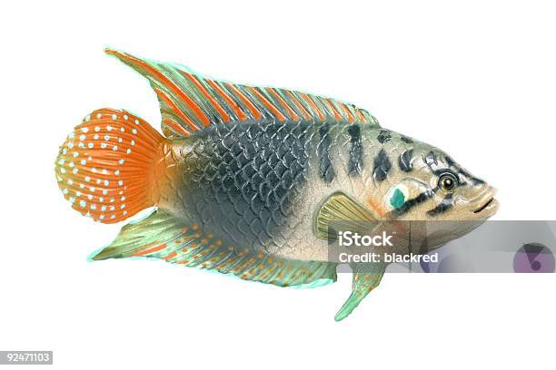 Pesce In Plastica - Fotografie stock e altre immagini di Pesce - Pesce, Giocattolo, Scontornabile