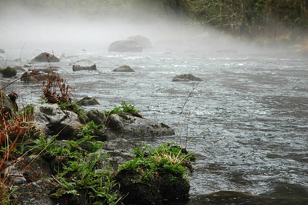 Fog over fast river  mickey mantle stock pictures, royalty-free photos & images