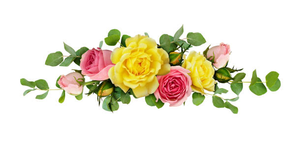 istock Pink and yellow rose flowers with eucalyptus leaves 924716738