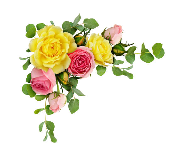 istock Pink and yellow rose flowers with eucalyptus leaves 924716740