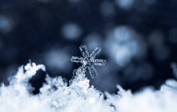 istock natural snowflakes on snow 924717214