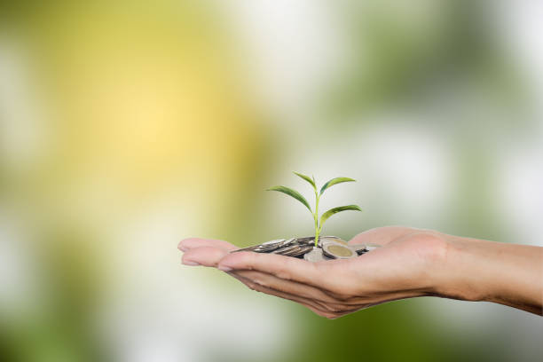 istock Hand holding coins with growing tree with copy space. Tree growing on Thai coins. Investment growing money for future concept. 924720240