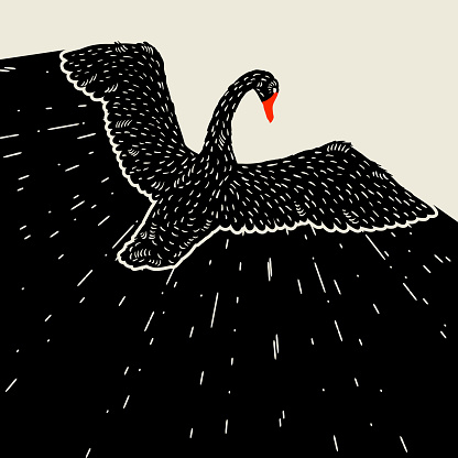Background with flying black swan. Hand drawn bird.