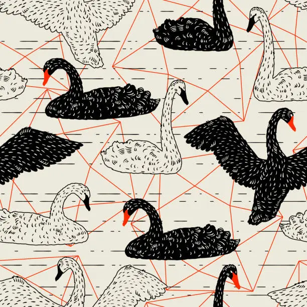 Vector illustration of Seamless pattern with floating black and white swans. Hand drawn birds