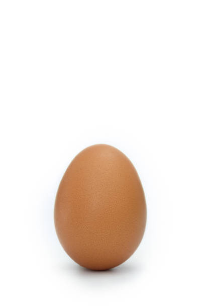 istock Egg is beneficial to the body 924723556
