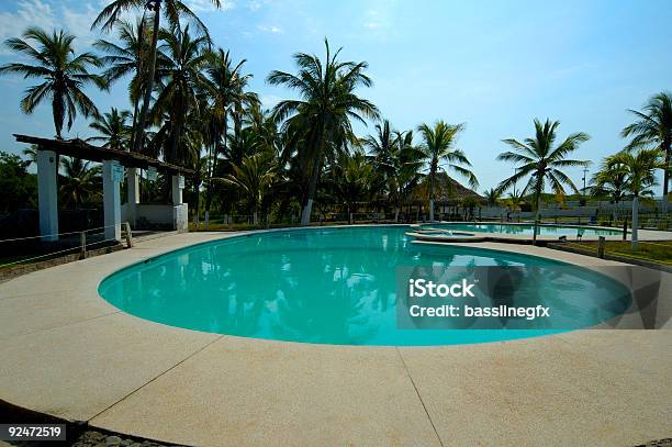 Las Palmeras Junto A La Piscina Foto de stock y más banco de imágenes de Manzanillo - Manzanillo, México, Agua