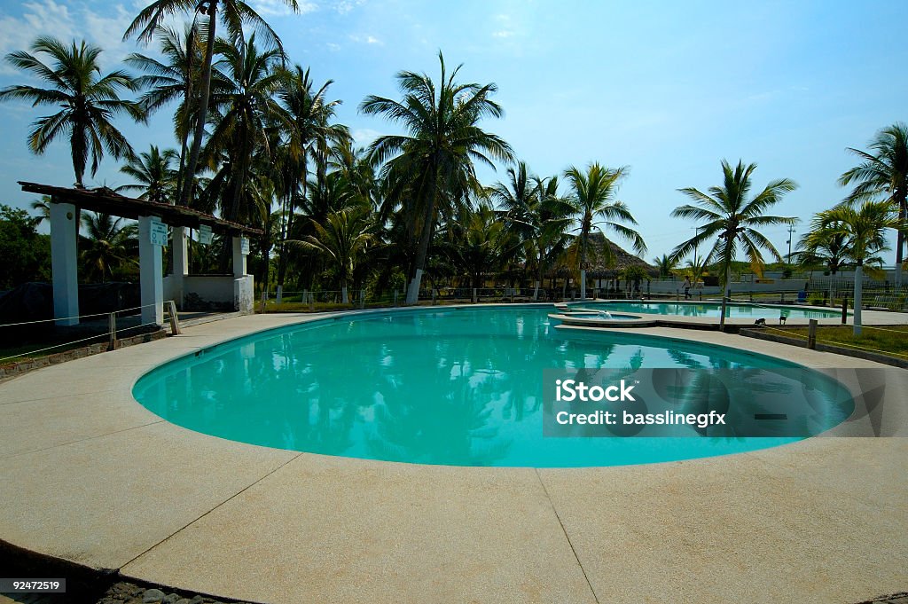 Palmy w basenie - Zbiór zdjęć royalty-free (Manzanillo)