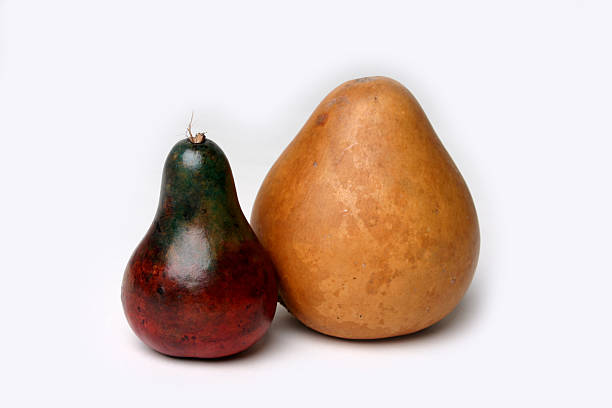 Pears stock photo