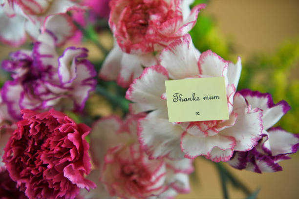 bouquet of bright carnation flowers for mothers day with thanks mum words taken in Sussex on the south coast of England UK mothers day horizontal close up flower head stock pictures, royalty-free photos & images