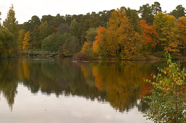 istock Autumn in Russia 4 92472899