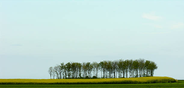 paisagem de france - northamptonshire - fotografias e filmes do acervo