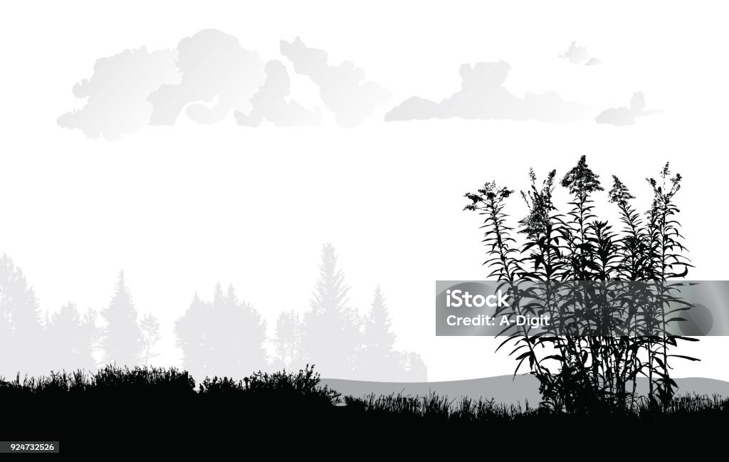 Grassy Fields With Weeds Open meadow with grass and wild flowers in the foreground In Silhouette stock vector