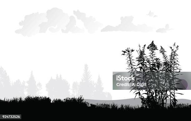 Grassy Fields With Weeds Stock Illustration - Download Image Now - In Silhouette, Treelined, Wildflower