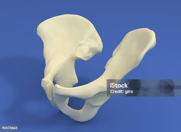Pelvis Foto de stock y más banco de imágenes de Anatomía - Anatomía, Asistencia sanitaria y medicina, Azul