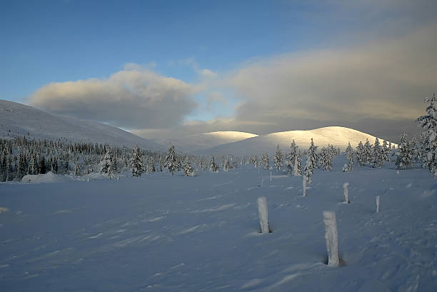 istock sunny winter landscape finland Lapland 92473670