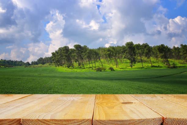 istock Empty rustic table in front of countryside background. product display and picnic concept. 924737172
