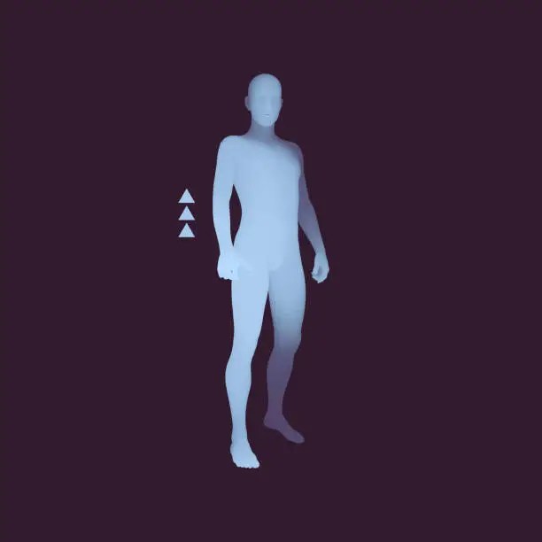 Vector illustration of Standing Man. 3D Human Body Model. Design Element. Man Stands on his Feet. Vector Illustration.