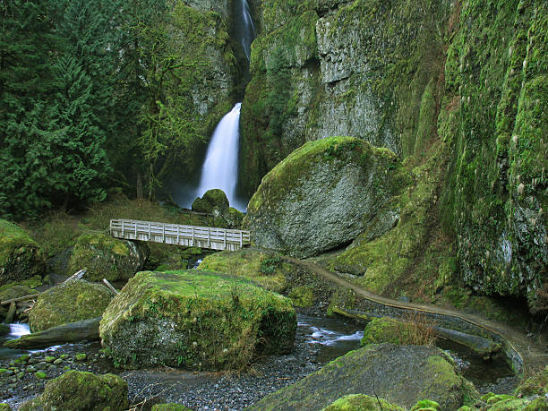 istock Wahclella Falls with Bridge and Dirt Path 92474404