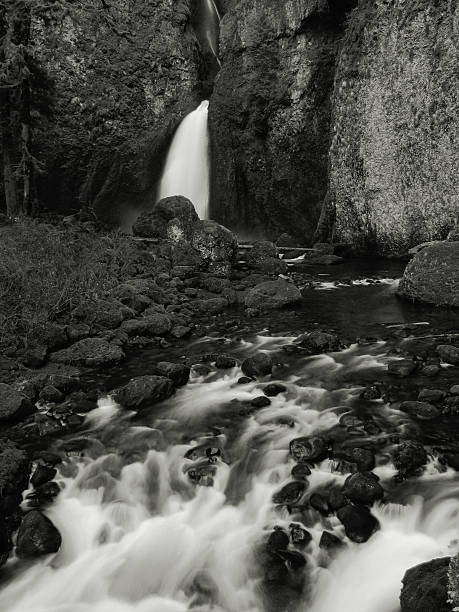 istock Black and White Wahclella Falls 92474405