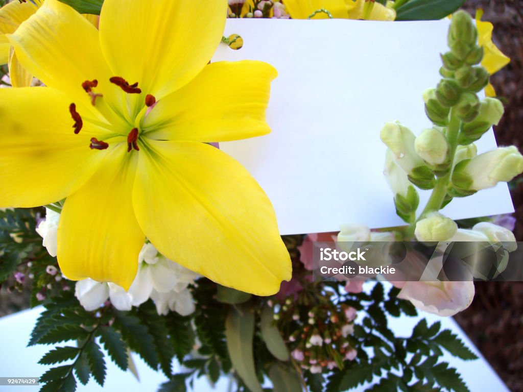 Carte et fleurs - Photo de Fleur - Flore libre de droits