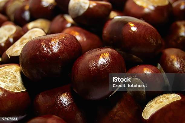 Chestnut Stockfoto und mehr Bilder von Basin - Basin, Baum, Bildhintergrund