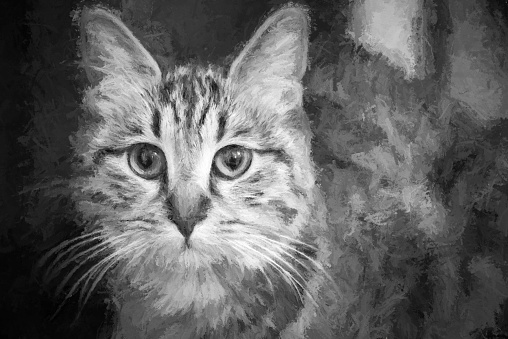 photo of a cat modified to look like a painting
