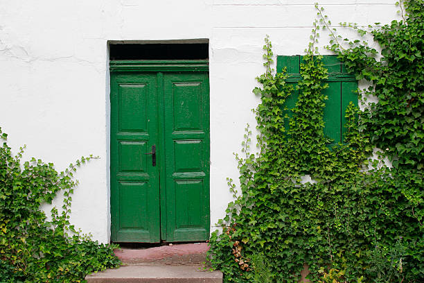 rural idyll, a wall full of ivy