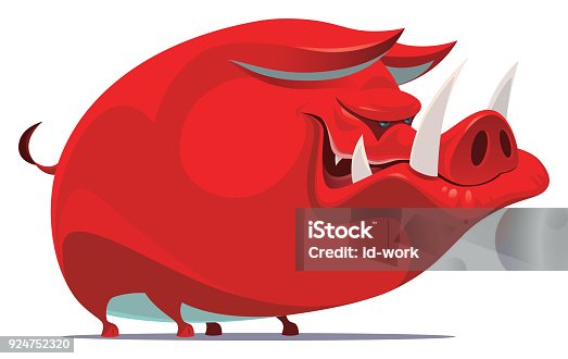 istock red angry boar 924752320