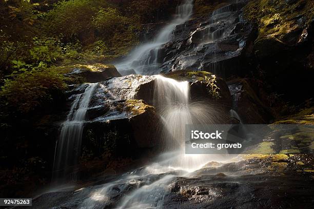 Wodospadpark Narodowy Gór Smoky Mountains - zdjęcia stockowe i więcej obrazów Appalachy - Appalachy, Biwakować, Dym