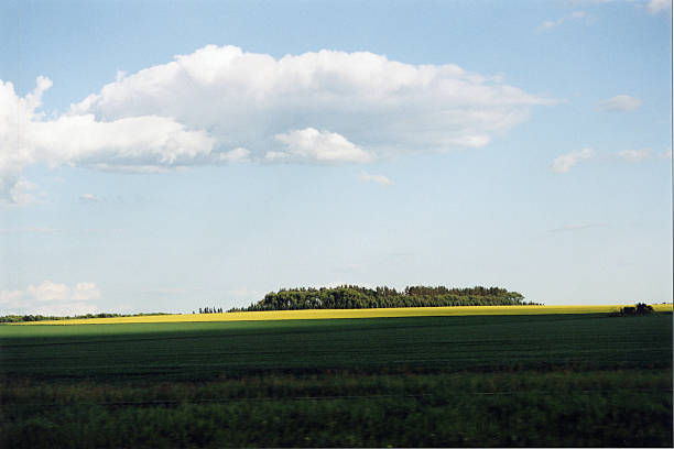 praterie canadesi - manitoba canada prairie canola foto e immagini stock