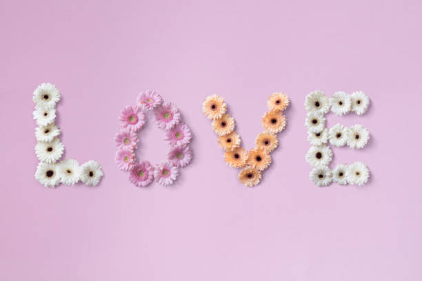 istock The word love made from different gerbera flowers 924760592