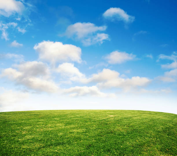 istock Scenic View Of Field Against Sky 924762048