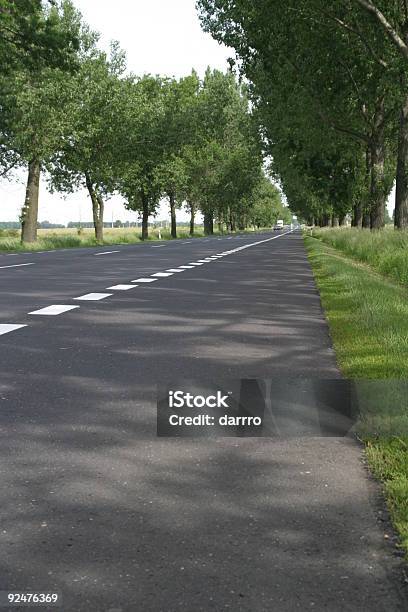 Estrada Na Primavera - Fotografias de stock e mais imagens de Alfalto - Alfalto, Ao Ar Livre, Avenida