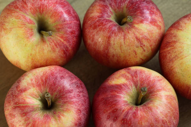istock Fresh red and yellow royal gala apples on wooden background 924765320
