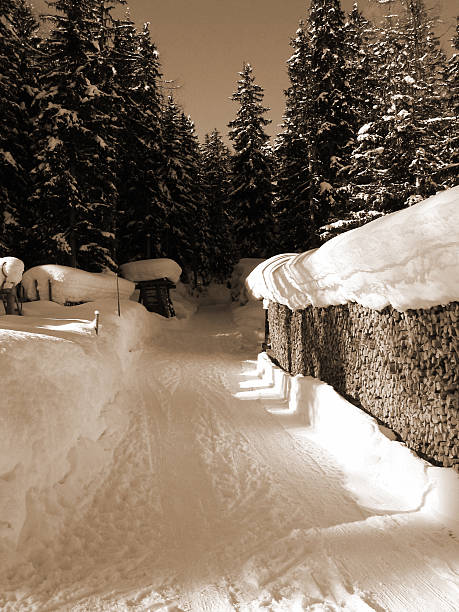 Camino de invierno (sepia - foto de stock